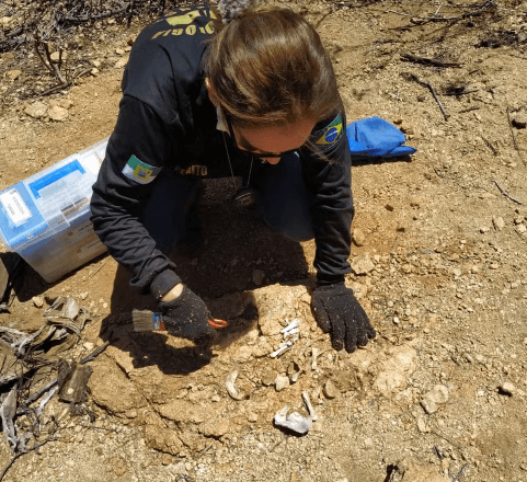 Exame de DNA confirma que ossada encontrada no Pico do Cabugi é de homem desaparecido há 7 anos no RN