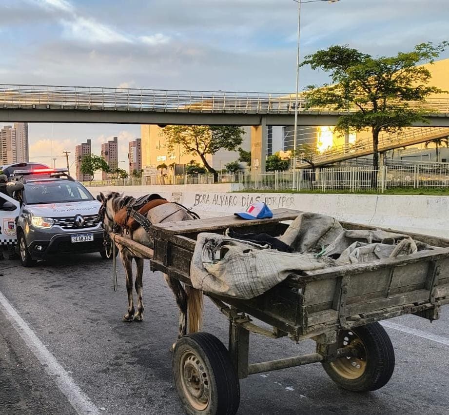 Carroceiro é preso com TV, bebidas e carnes furtados de restaurante em Ponta Negra