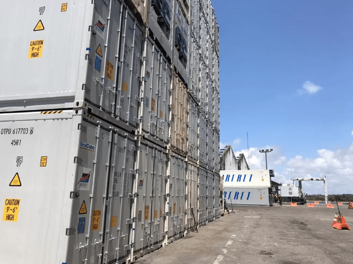 Exportações potiguares para a Holanda crescem mais de 300% em um ano e país se torna maior ‘comprador' do RN em 2023