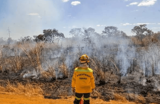 Brasil perdeu área maior do que o Acre para as queimadas em 2023