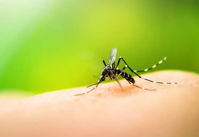 Natal tem 25 bairros com alto risco de epidemia de dengue