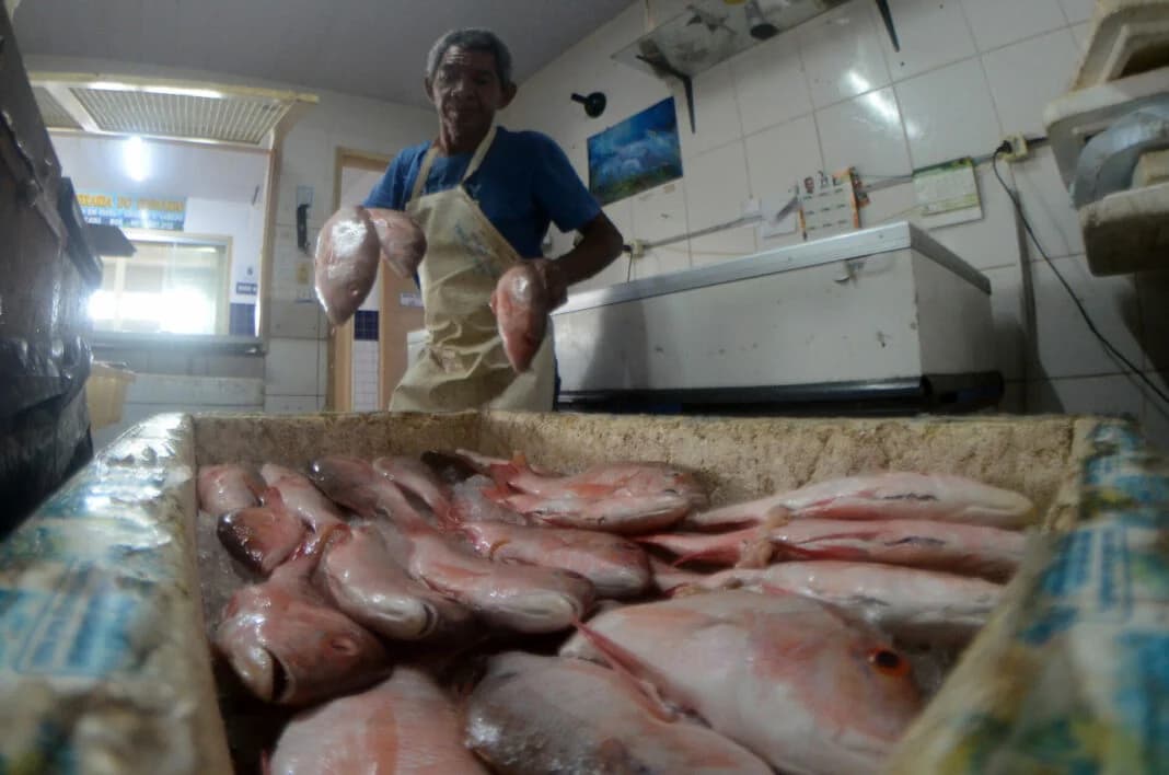 Vendedores relatam baixa procura por pescados antes da Semana Santa