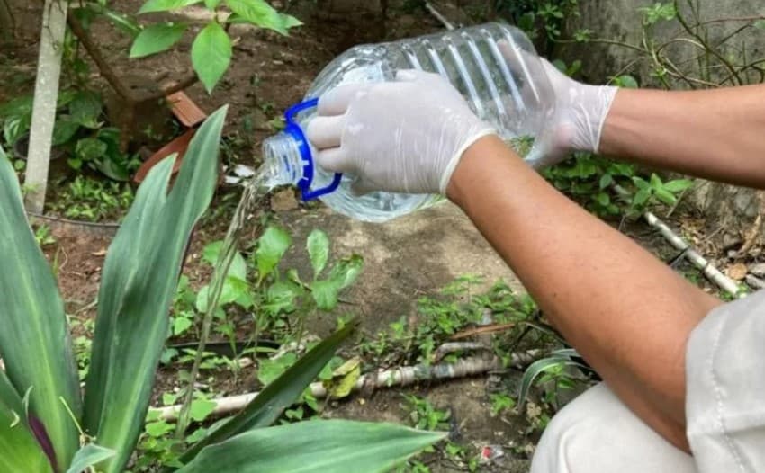 9 em cada 10 casas inspecionadas em Natal têm focos de mosquito da dengue, diz Secretaria de Saúde