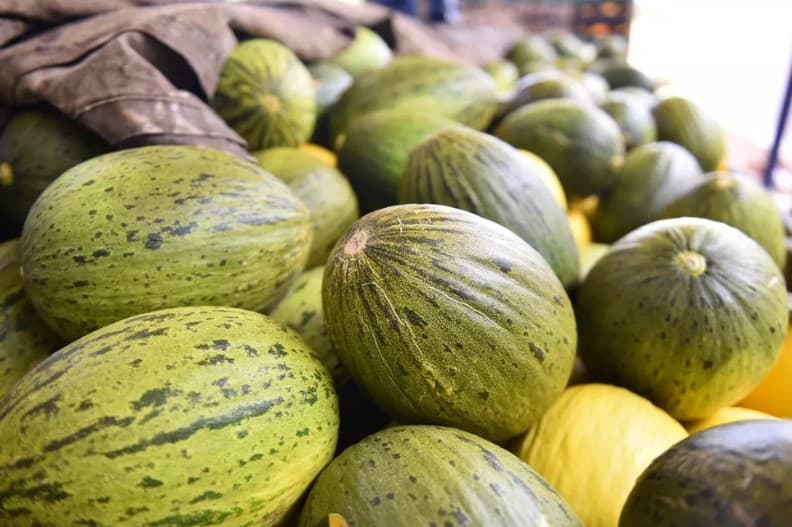 Exportação dos principais produtos da fruticultura do RN cresce 11,7%