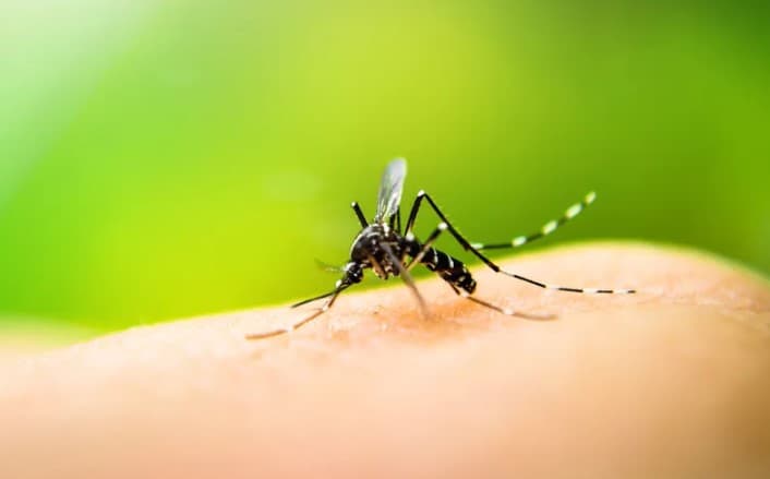 Natal decreta situação de emergência por epidemia de dengue