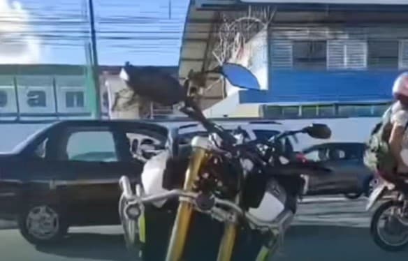 Motociclista que atropelou e matou mulher na Zona Norte é liberado após pagar fiança de R$ 21 mil
