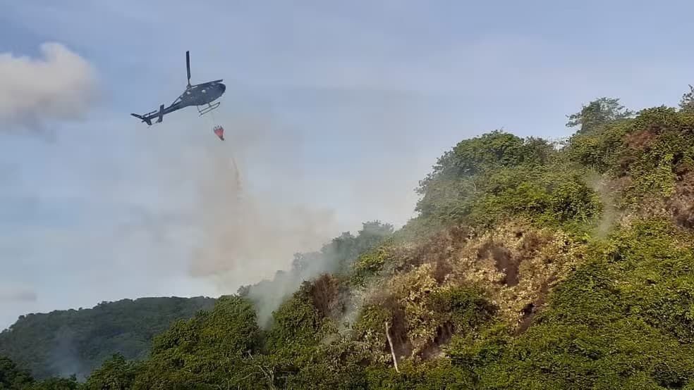 Perícia revela que incêndio no Morro do Careca não foi natural e pode ter sido causado por pessoas com fósforo