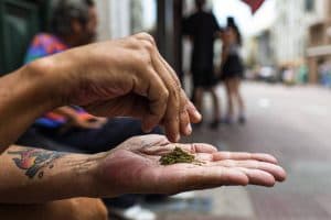 Decisão do STF sobre maconha pode beneficiar entre 8.000 e 19 mil presos