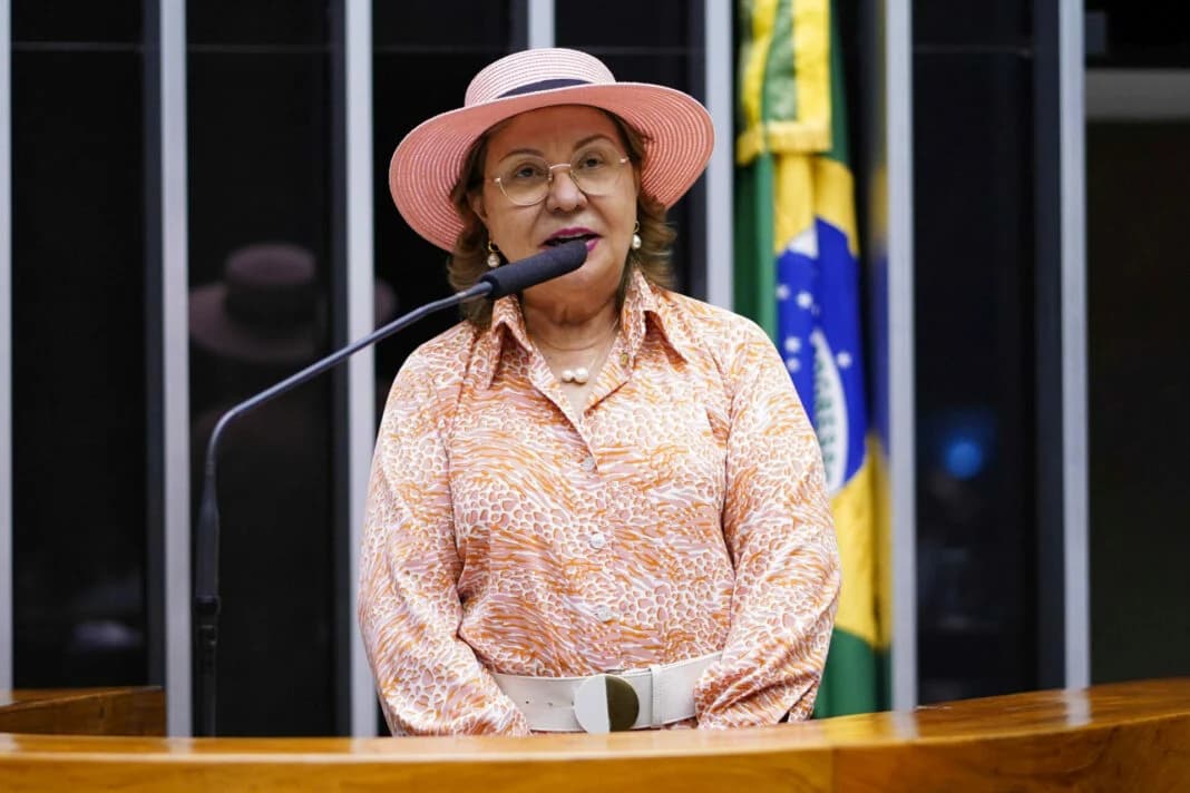 Secretária do governo Lula enviou R$ 1,3 milhão a ONG de assessora