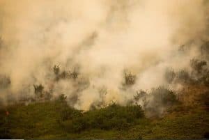 Governo vai liberar R$ 100 mi para combate a incêndios no Pantanal
