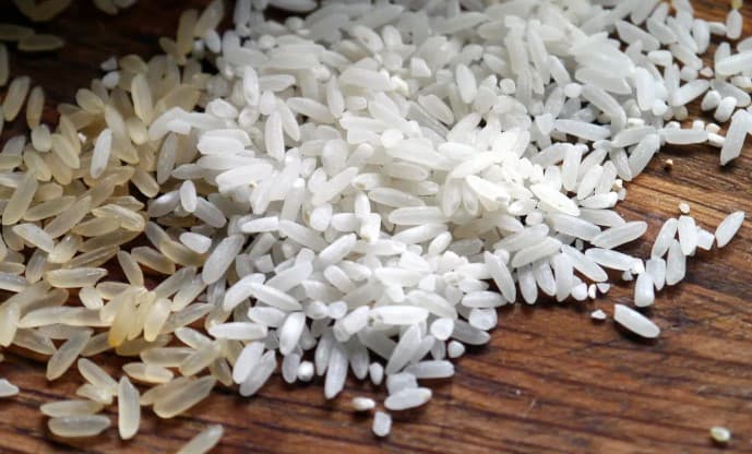 Conab exige que vencedoras de leilão do arroz comprovem capacidade técnica e financeira