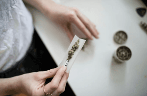 STF deve definir hoje quantidade de maconha que diferencia traficante de usuário