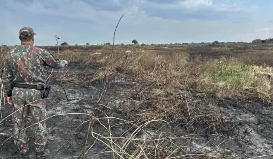 Pantanal e Cerrado têm maior número de focos de incêndio desde 1998 e queimadas na Amazônia são as piores em 20 anos