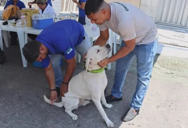 Natal Abre Chamamento Público para o Primeiro Hospital Público Veterinário para Cães e Gatos da cidade
