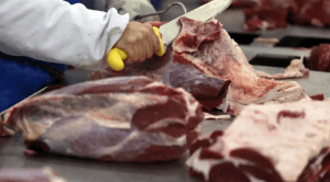Exportação de carne bovina desacelera em junho e receita recua 11% em um ano, diz Abrafrigo