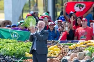 Lula anuncia mais de R$ 400 bilhões para o agronegócio no Plano Safra