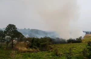 PF abre 32 inquéritos para investigar origem de incêndios florestais no país