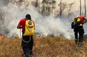 Brasil e Bolívia somarão forças contra incêndios em região fronteiriça