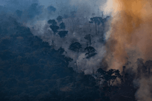 Amazônia registrou mais de um foco de fogo por minuto nos últimos dias