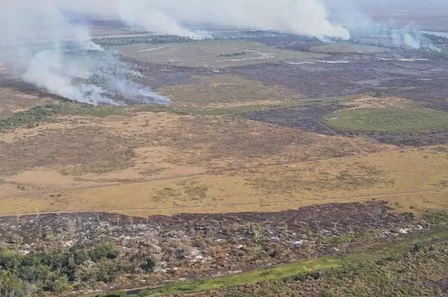Suspeitos de incêndio criminoso no Pantanal são alvo de operação da PF