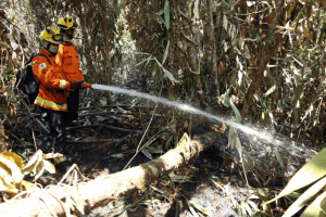 Incêndios no RN em 2024 têm aumento de 10% de janeiro a setembro