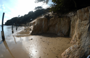 Guarda Municipal reforça fiscalização no Morro do Careca após decreto de emergência