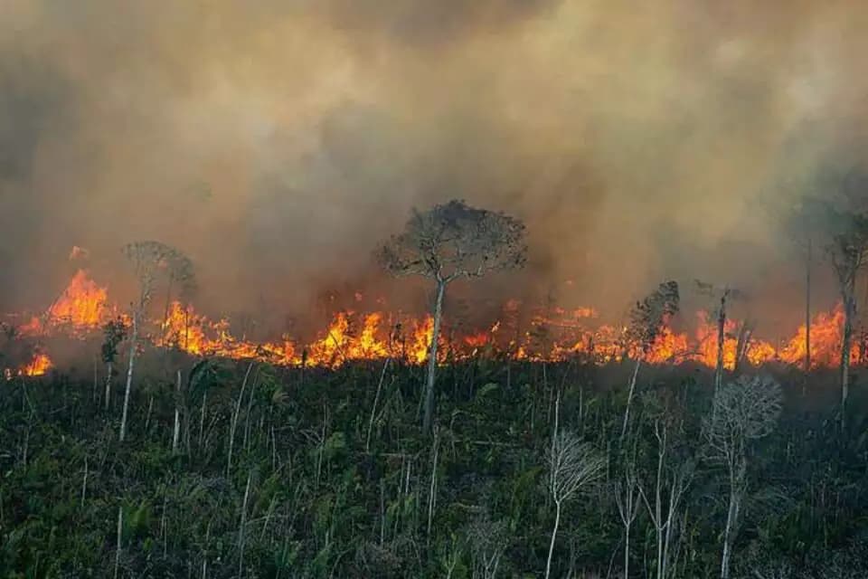 Incêndios na Amazônia cresceram 10% no governo Lula