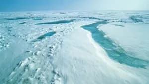 Derretimento total do gelo marinho na Antártica pode acontecer antes de 2030, afirma estudo