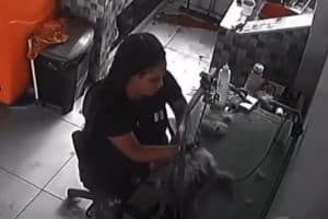 Funcionária de pet shop é indiciada por morte de cachorro durante tosa