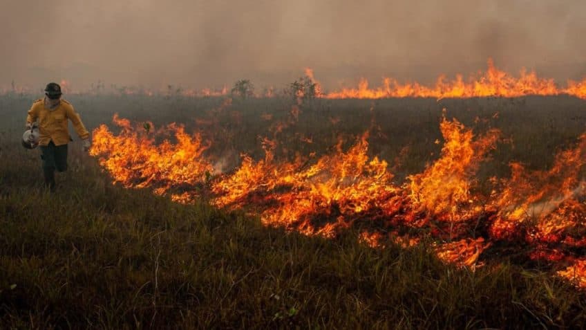 Área queimada no Brasil cresce 79% em 2024, diz MapBiomas