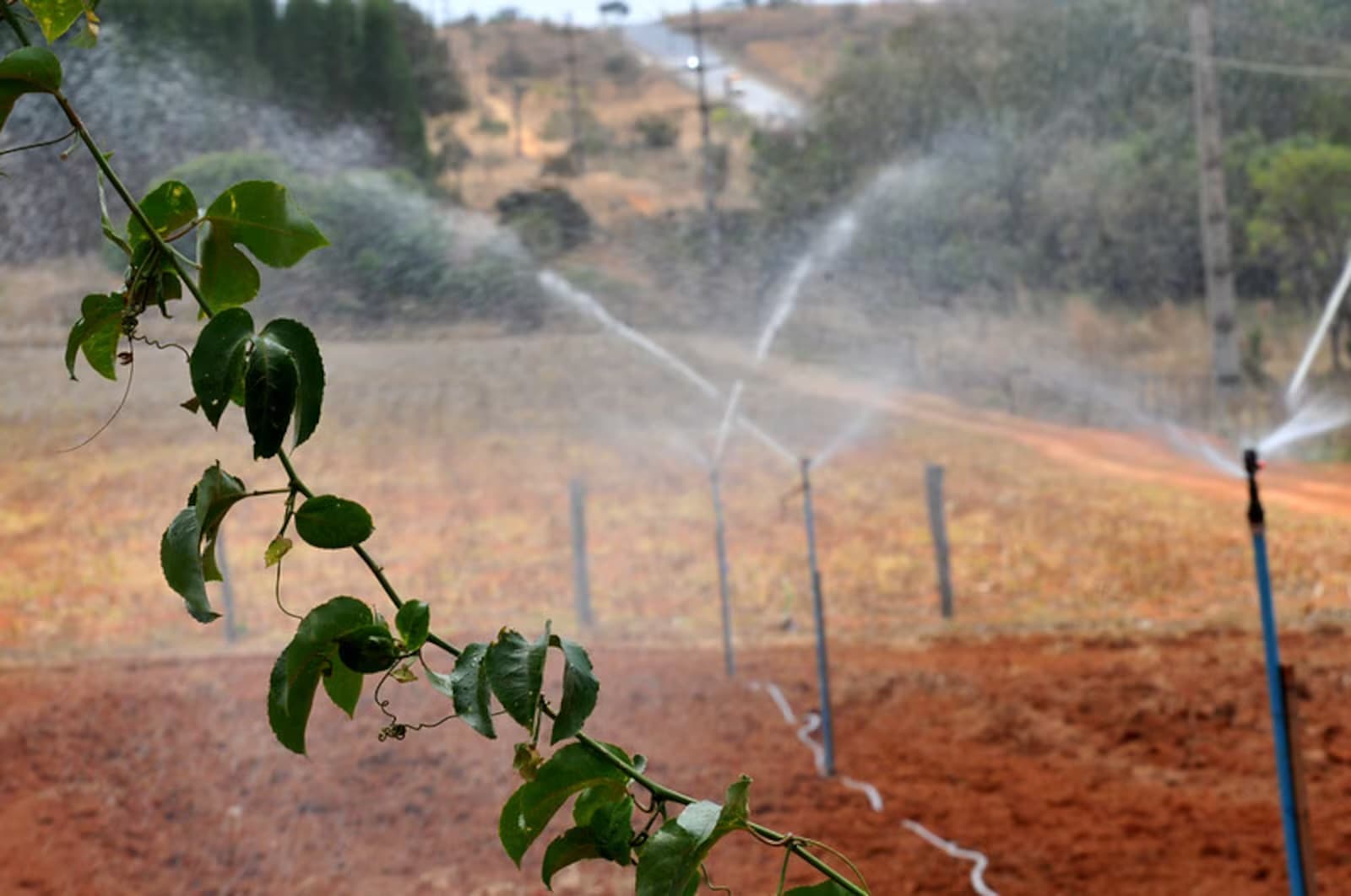 PF apreendeu em seis anos 273 mil quilos de agrotóxicos irregulares no Brasil