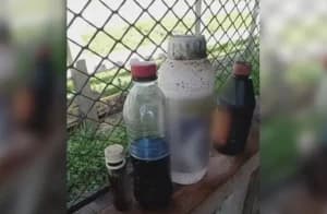 Irmãos morrem no PR após tomarem veneno guardado em garrafa achando que era suco de uva