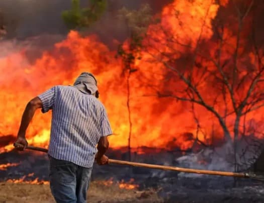75% dos inquéritos por queimada e desmatamento na Polícia Federal não indiciam ninguém