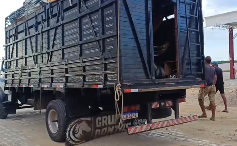 PRF flagra caminhão com 17 pessoas no compartimento de carga na BR 304