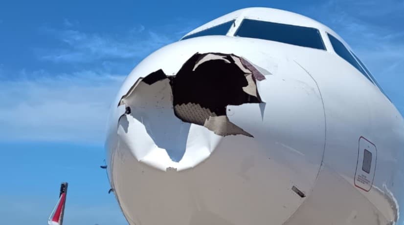 Brasil registra 2.100 colisões de aviões com aves por ano