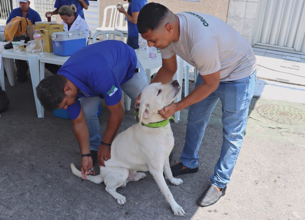 Pets tem acesso a serviços gratuitos em ação da Prefeitura do Natal neste sábado (26)