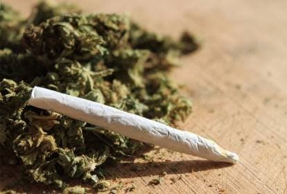 Uso regular da maconha está ligado a sinais precoces de doenças cardíacas, diz estudo