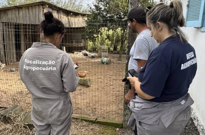 Ministério da Agricultura tentou distribuir testes de gripe aviária com certificado vencido