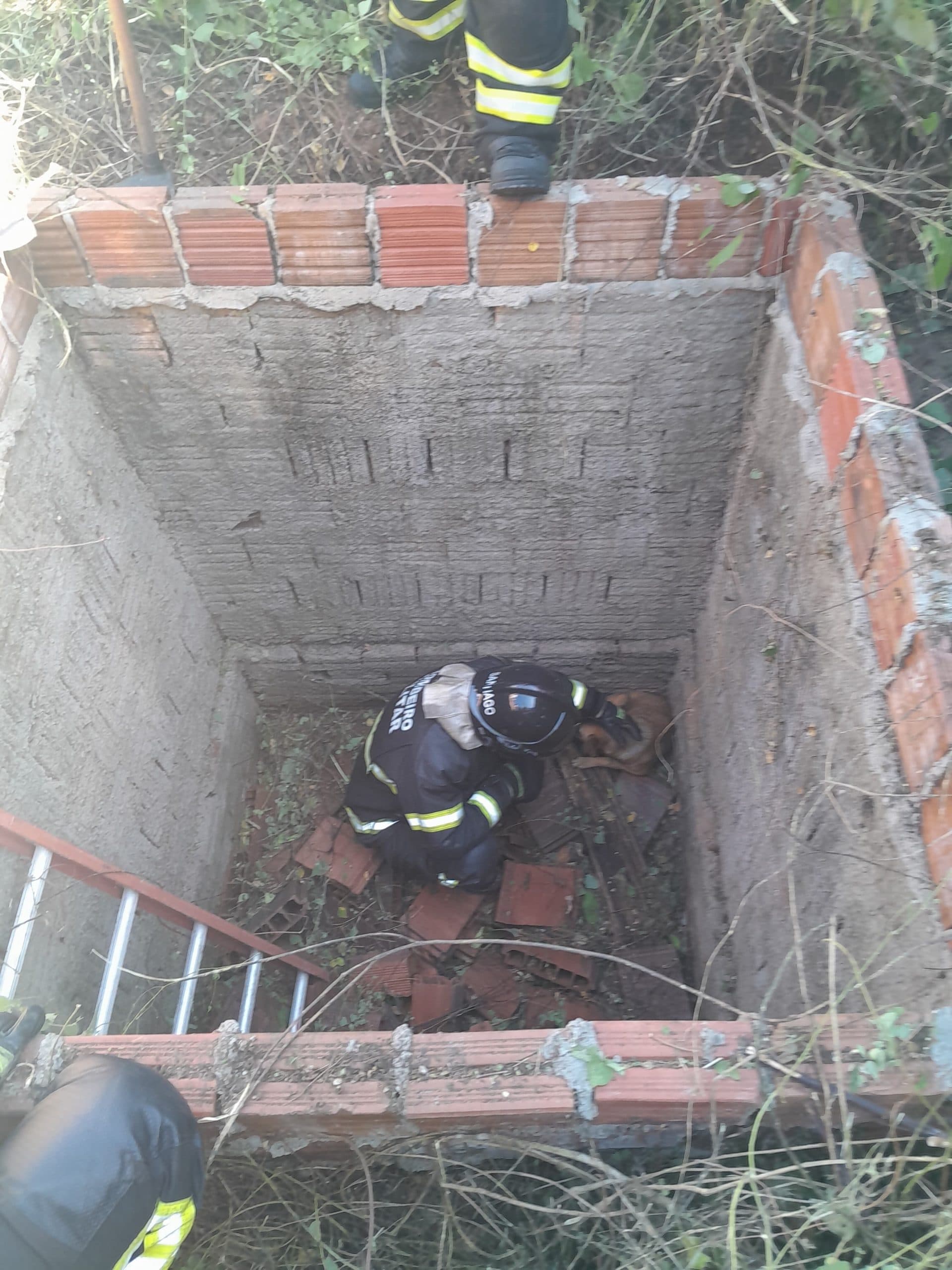 Bombeiros do RN resgatam dois cães de dentro de fossa em Mossoró