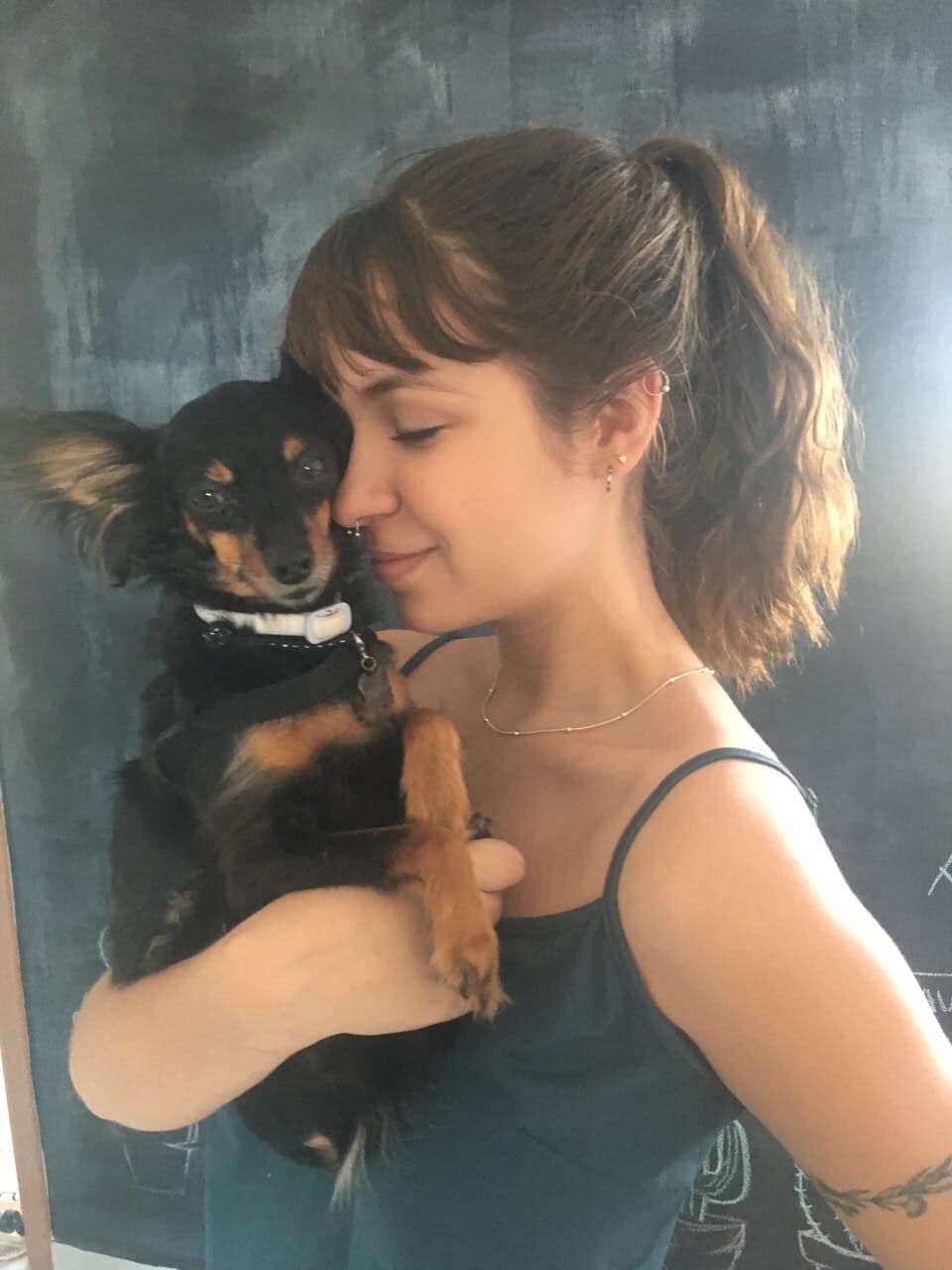 Morada da Paz destaca a importância de projeto que autoriza sepultamento de pets em cemitérios de Parnamirim