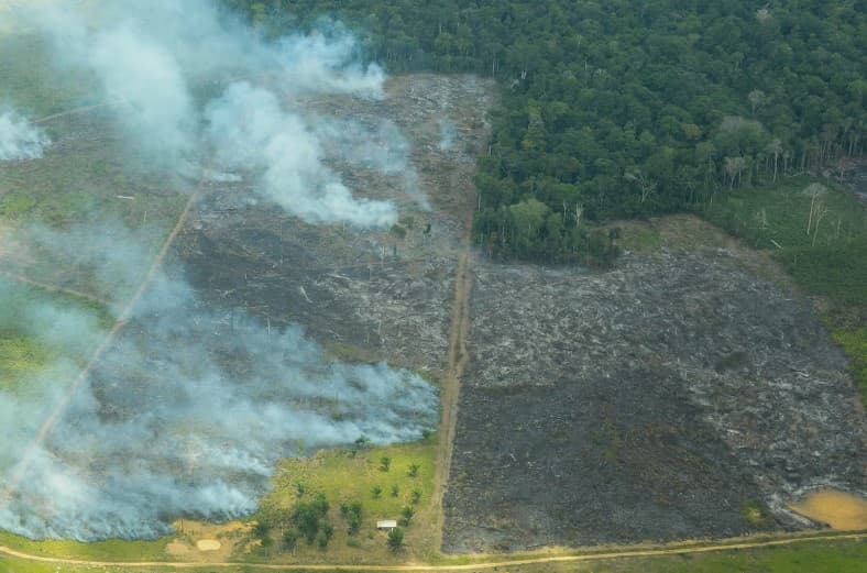 Desmatamento na Amazônia cresce 27% no 1º semestre de 2025, diz Inpe