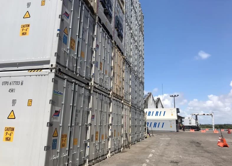 Tarifaço dos EUA atinge oito dos 10 produtos mais exportados pelo RN; estado é o 5º mais afetado em volume de exportações
