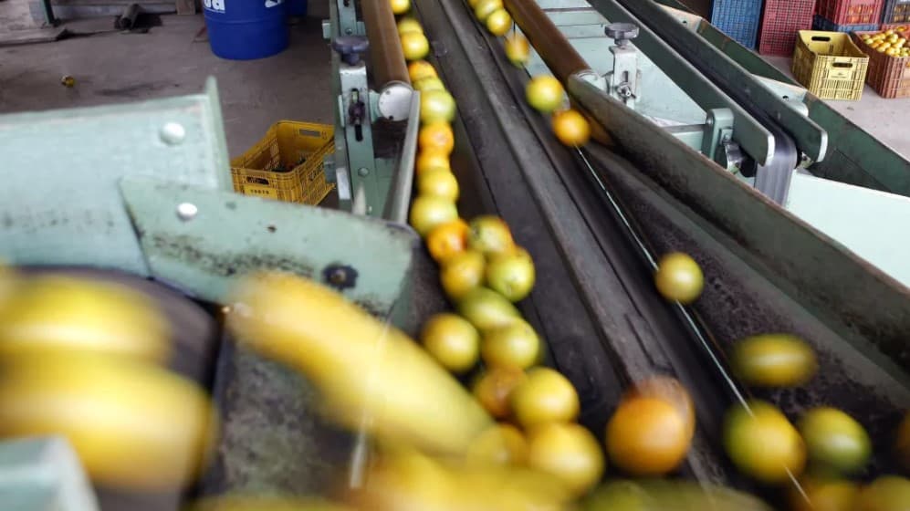 Agro prevê perdas de US$ 5,8 bilhões com tarifaço de Trump