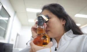 Bebidas adulteradas: intoxicação por metanol já matou 5 e deixa 11 em investigação no Brasil