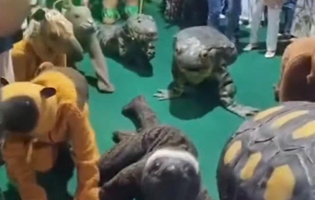 Atores que pagaram ‘mico’ na abertura da COP30 protestam por falta de pagamento