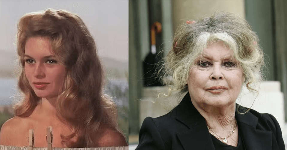 Morre a atriz francesa Brigitte Bardot, ícone do cinema, aos 91 anos