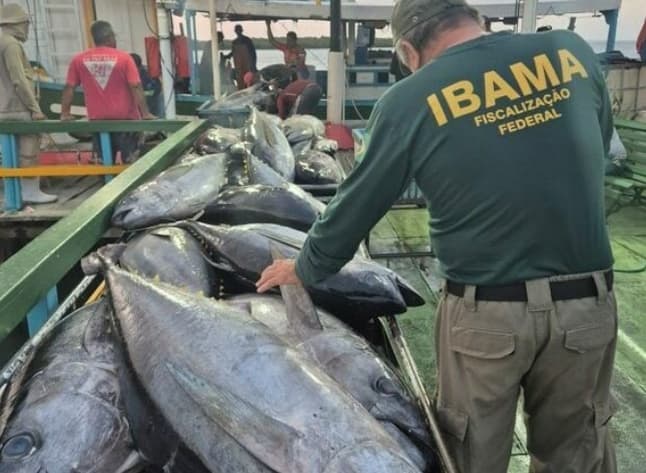 Ibama apreende 2,3 toneladas de peixe ilegal e aplica R$ 122 mil em multas no RN