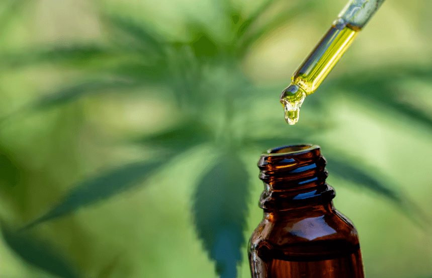 Medicamentos à base de cannabis batem recorde de autorização de importação em 2025