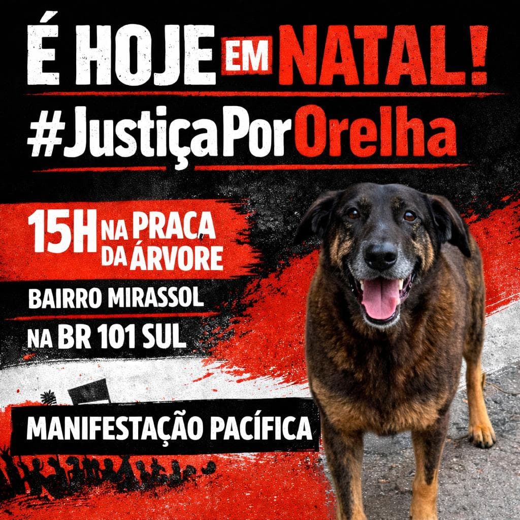JUSTIÇA POR ORELHA: Ato em Natal neste domingo (1º) cobra punição por morte de cão comunitário em Florianópolis