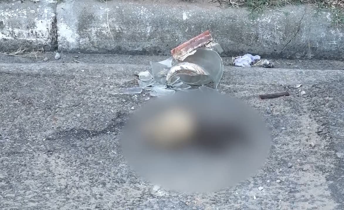 Feto é encontrado no lixo em Mãe Luíza